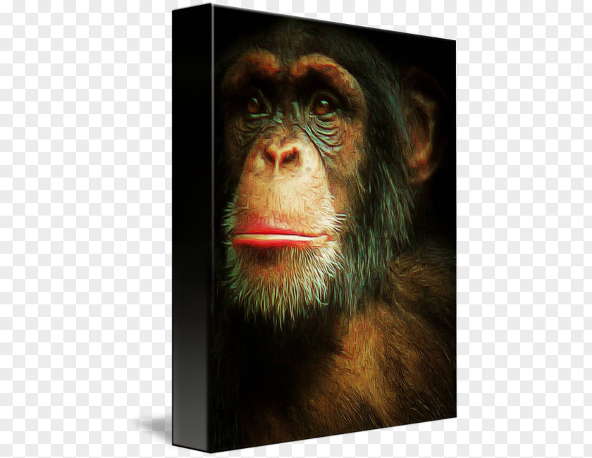 Gorilla Chimpanzee Common Canvas Print Art Painting PNG