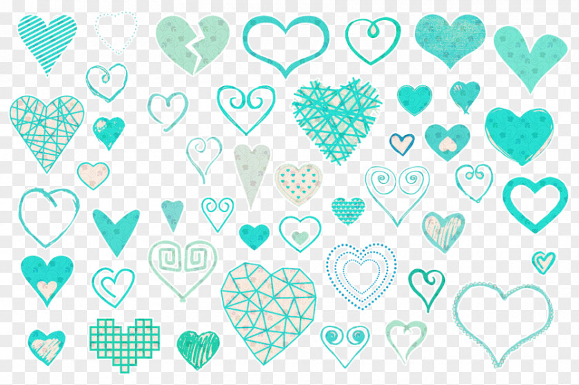 Line Turquoise Organism Clip Art PNG
