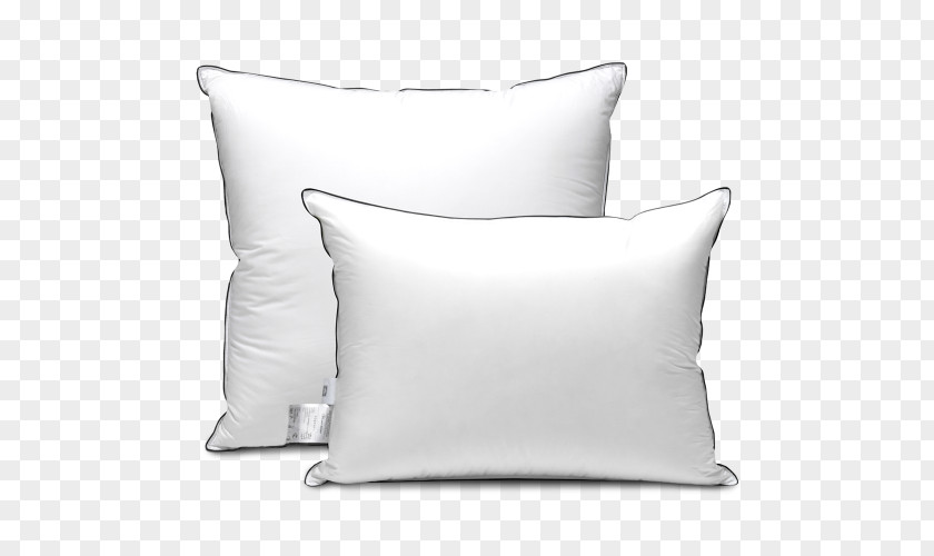 Pillow Blanket Down Feather Kariguz Discounts And Allowances PNG