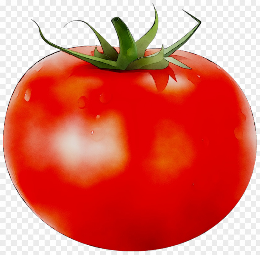 Plum Tomato Bush Food Vegetable PNG