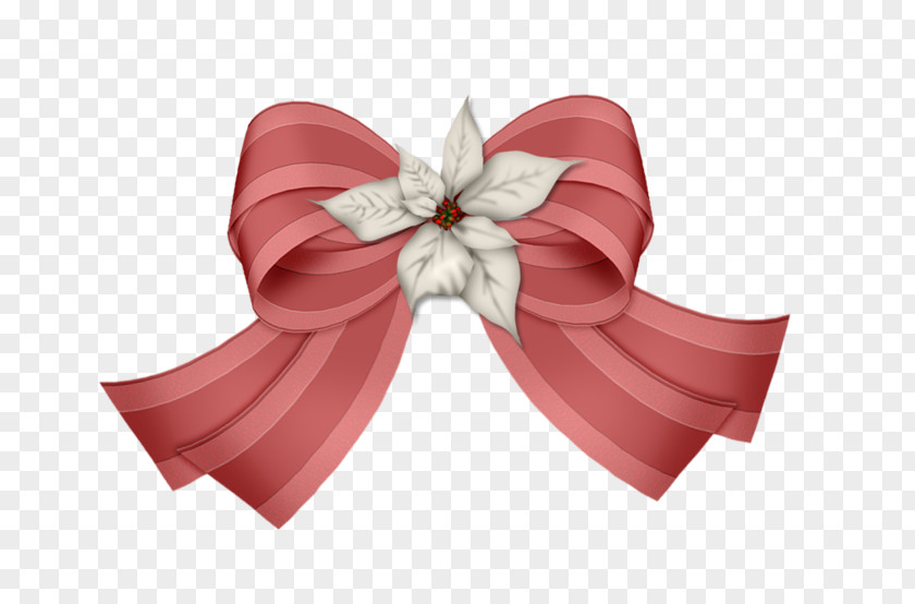 Ribbon Red Embroidery Silk PNG