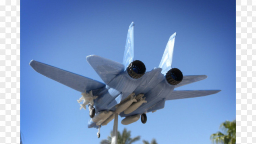 Shop Goods Lockheed Martin F-22 Raptor Grumman F-14 Tomcat 3D Printing STL PNG