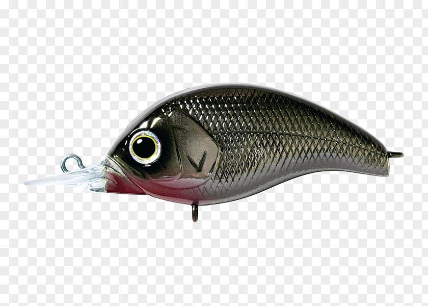 Spoon Lure Oily Fish Perch AC Power Plugs And Sockets PNG