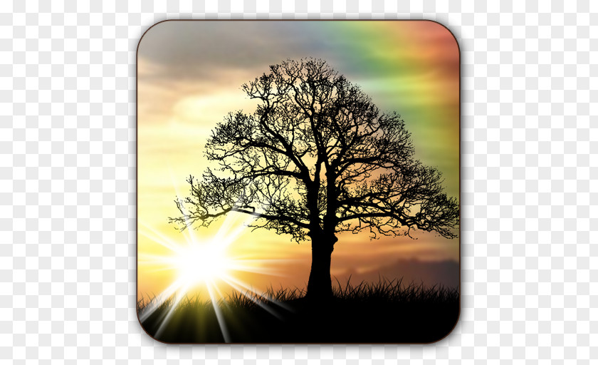 Sunrise Desktop Wallpaper Mobile Phones Android PNG