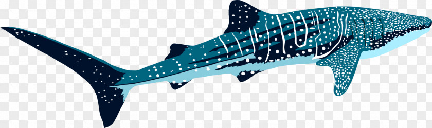 Whale Shark Tiger Marine Biology Mammal Requiem Sharks PNG