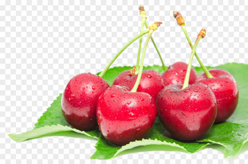 Cherry Strawberry Barbados Stock Photography PNG