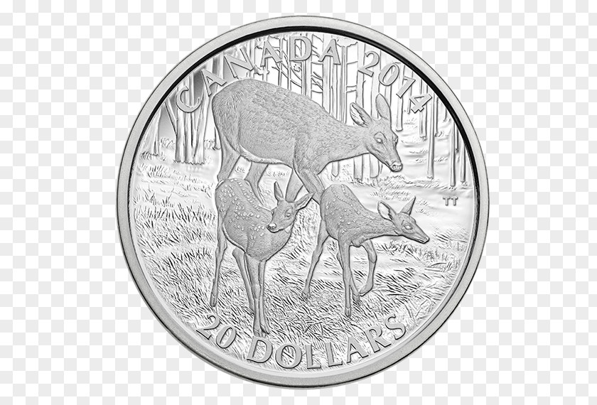 Coin Silver Canada White-tailed Deer Reindeer PNG