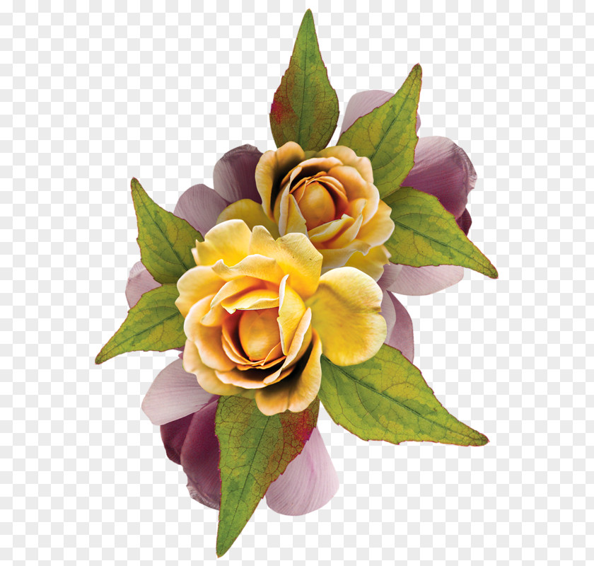 Flowers Backgrounds Garden Roses Flower Floral Design Birthday Clip Art PNG