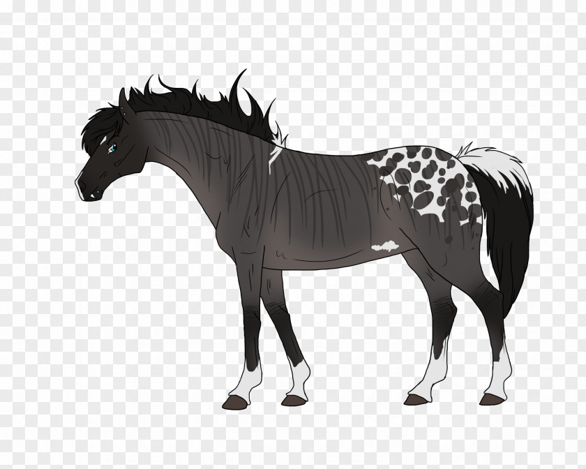 Horse Blanket Equestrian Tack Måsta PNG