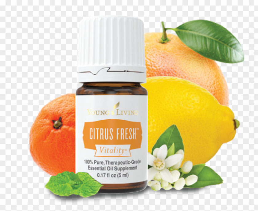 Lemon Clementine Tangerine Essential Oil PNG