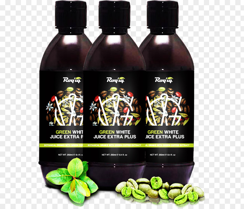 Coffee Green Extract White Bean PNG