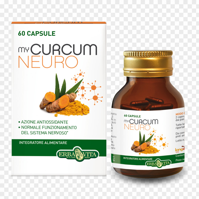 Curcumin Dietary Supplement Food Turmeric Probiotic PNG