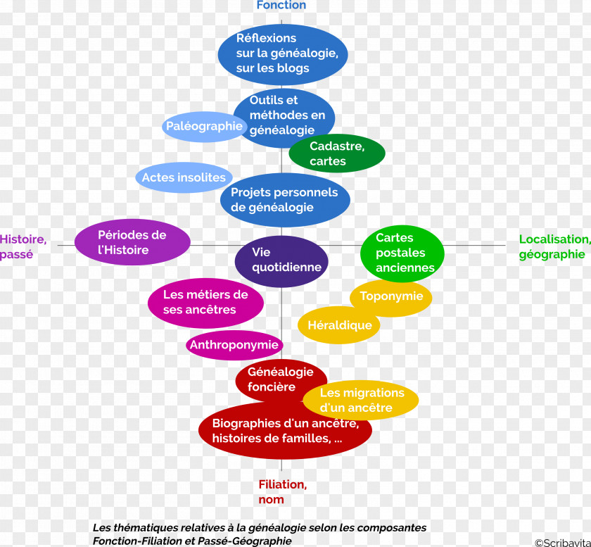 Family Genealogy Filiation Tree History PNG