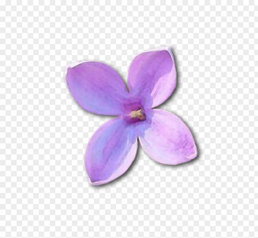 Lilac Violet Clip Art PNG