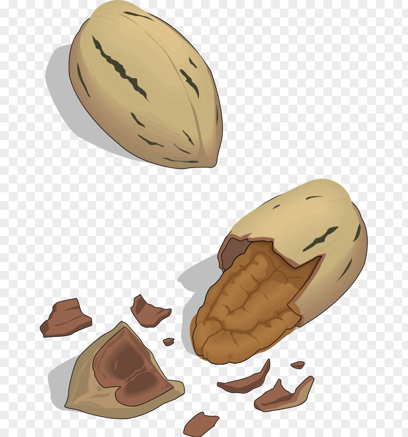 Nuts Cliparts Nut Clip Art PNG