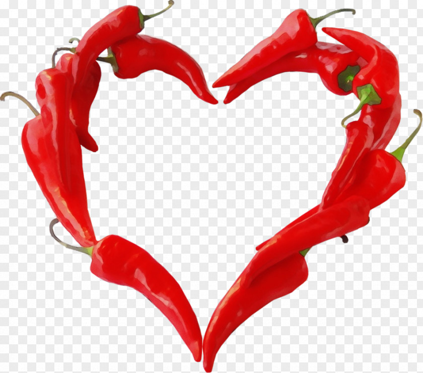 Piquillo Pepper Cayenne Peperoncino Nightshade Bell PNG
