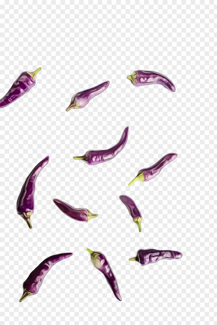 Purple PNG