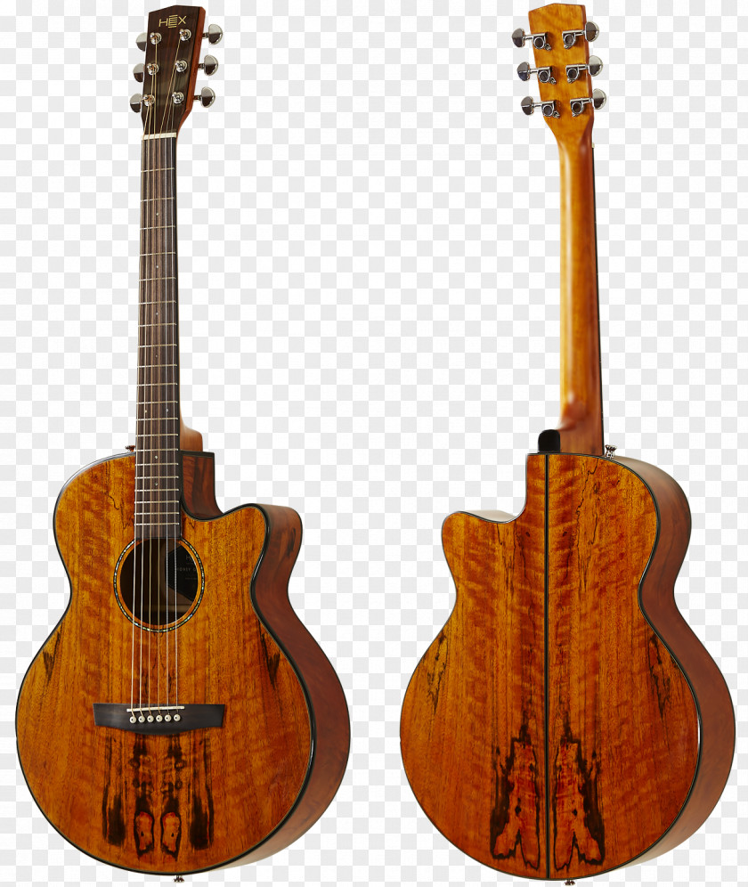 Bass Guitar Acoustic Tiple Cuatro Acoustic-electric PNG