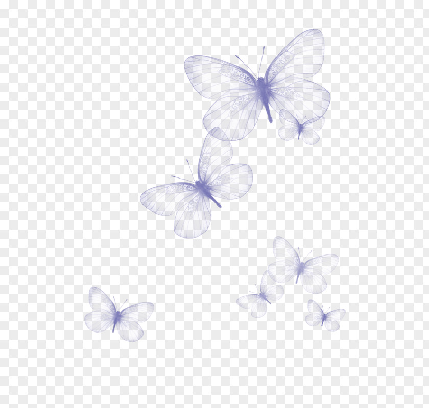 Beautiful Butterfly Purple FreeMind Transparency And Translucency PNG