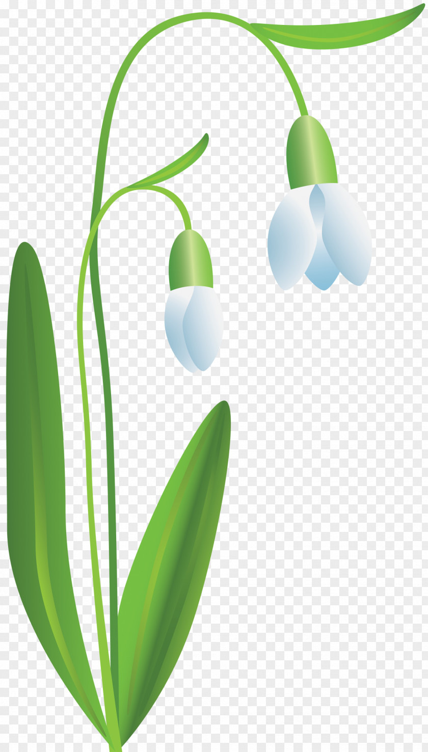 Flower Clip Art PNG