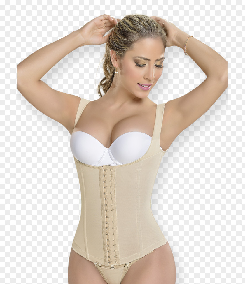 Girdle Waist Tanga Human Back Corset PNG