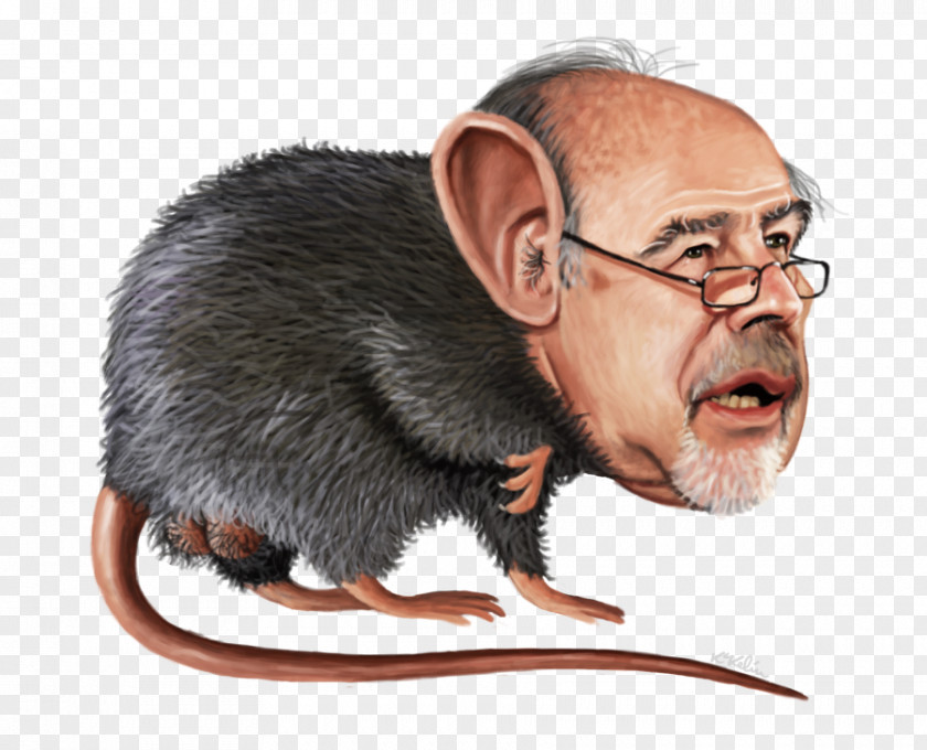 Rat Ramón Rato Caricature Male Wererat PNG