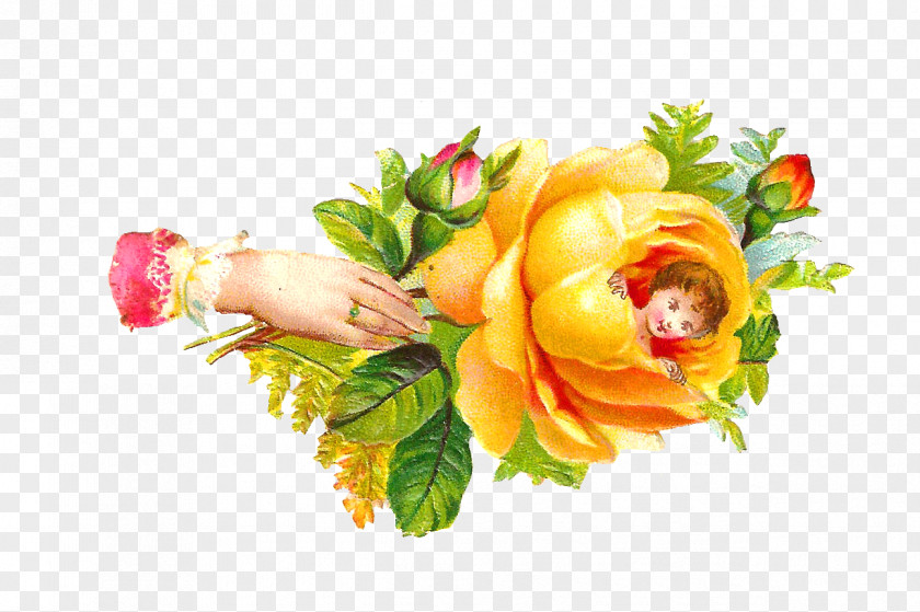 Rose Garden Roses Yellow Floral Design Clip Art PNG