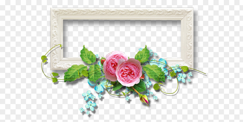 Rose Picture Frames Tendresse PNG