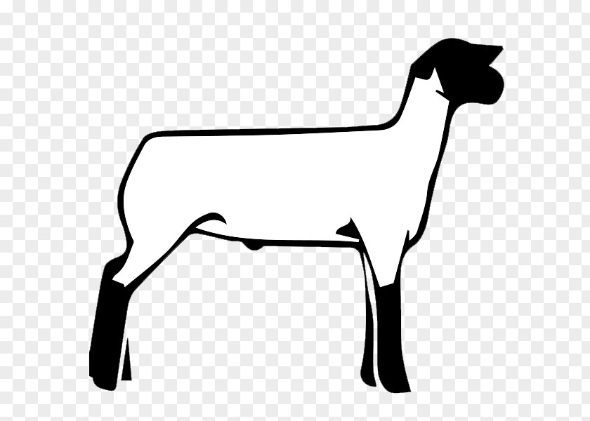 Sheep Boer Goat Cattle Clip Art Vector Graphics PNG