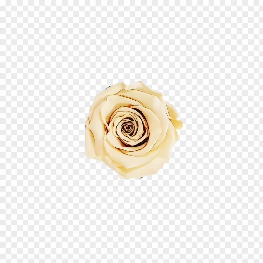 Cut Flowers Pink Garden Roses PNG