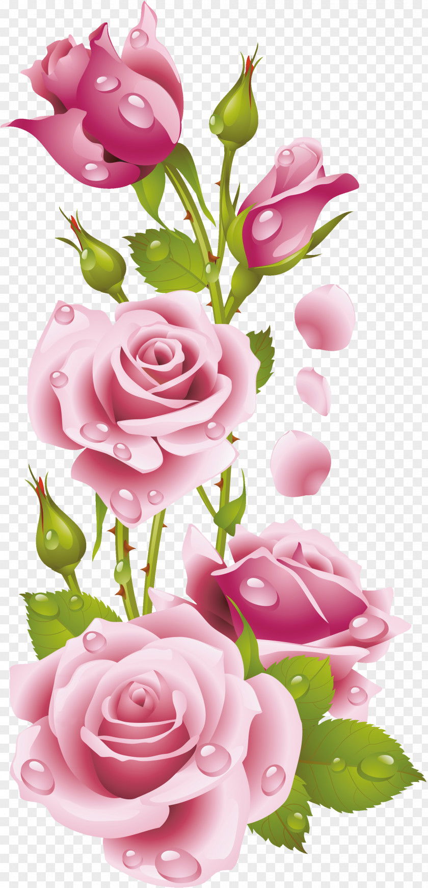 Painting Floral Design Rose Embroidery Art PNG