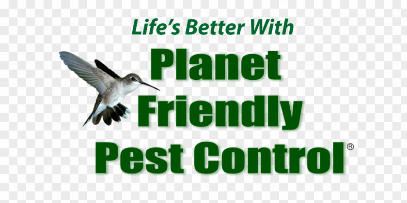 Pest Control Chicagoland Inc Chicago Exterminator Planet Friendly Beak Business PNG