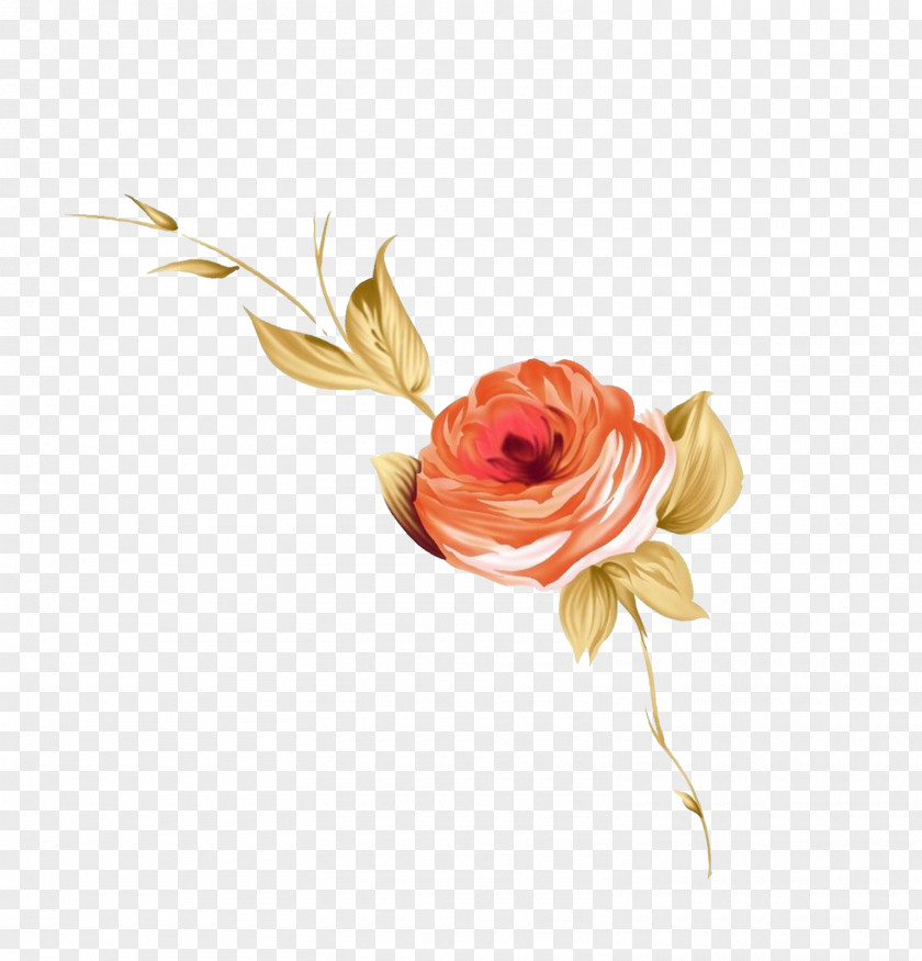 Rose Illustration Flower Beach Rosa Chinensis PNG