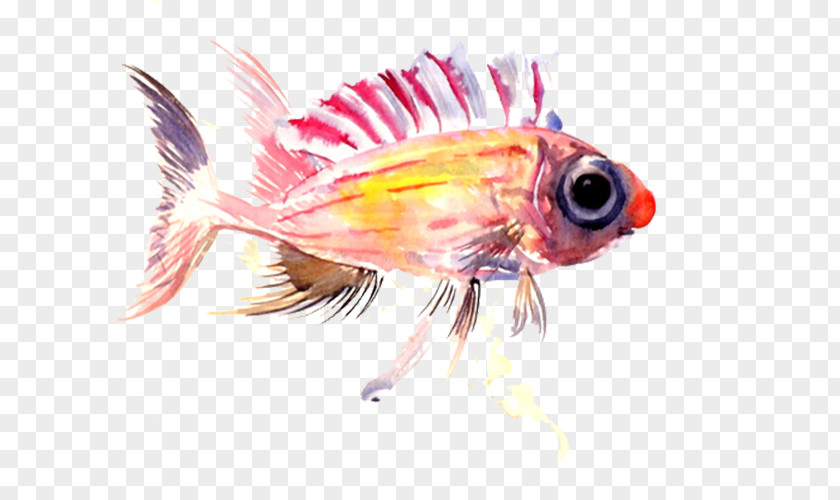 Pink Little Fish PNG