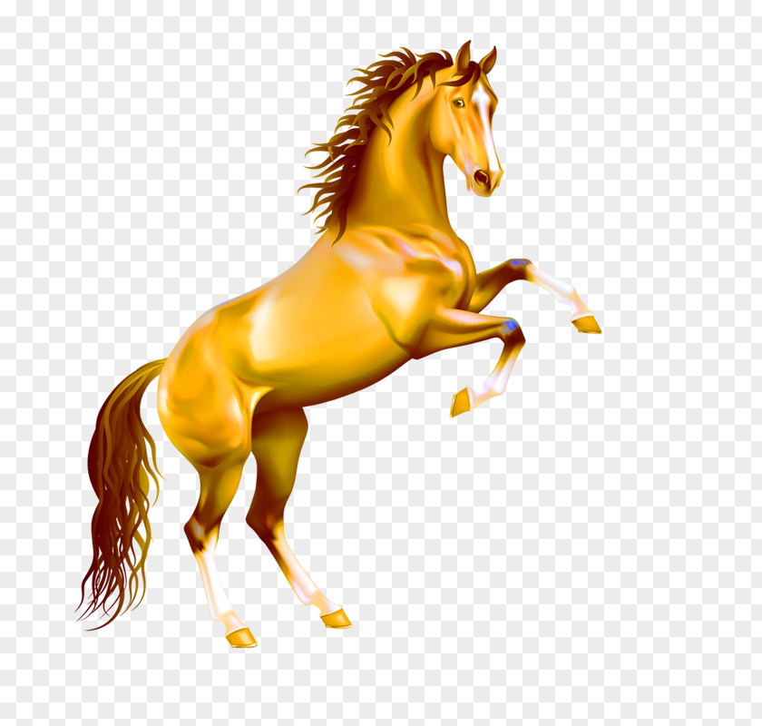 Running Horse Lusitano Stallion Rearing Bay Clip Art PNG