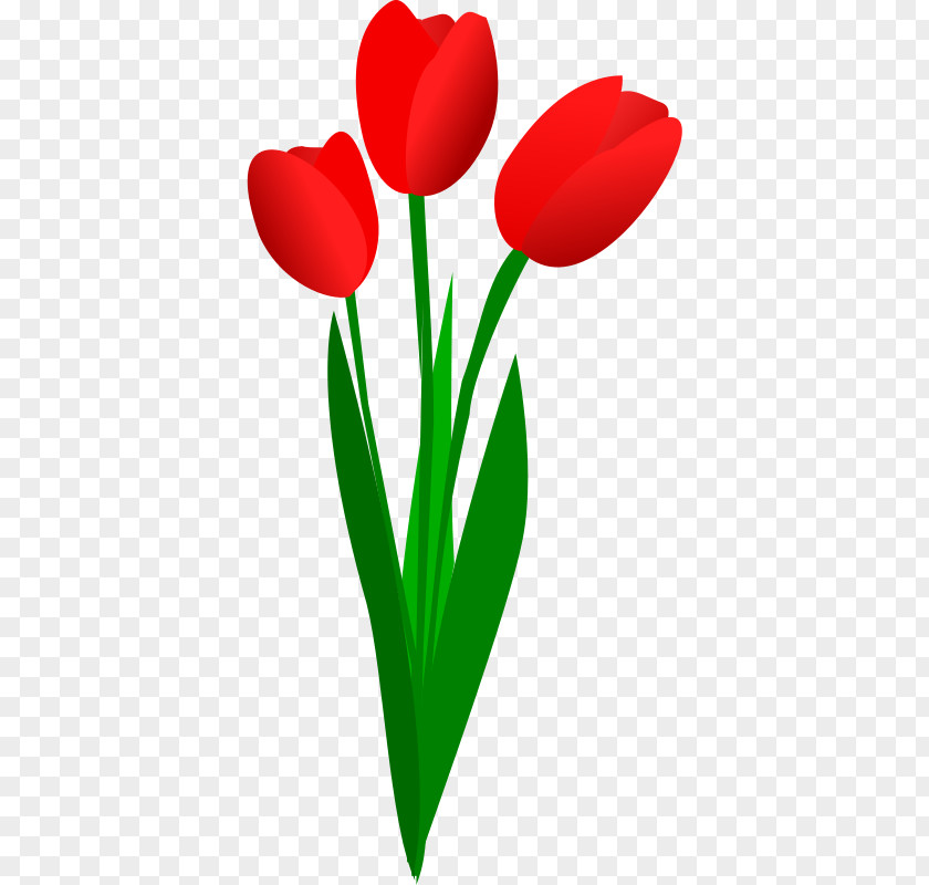 Tulip Clip Art Openclipart Flower PNG