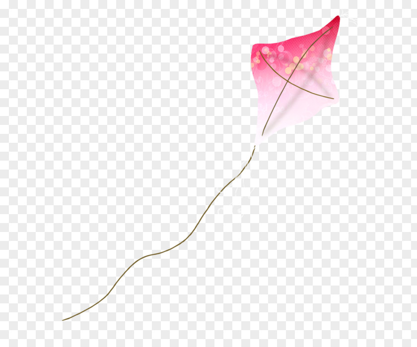 Design Product Pink M PNG