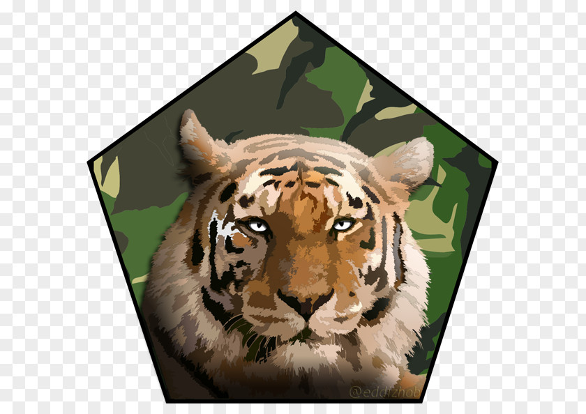 Tiger Lion Deseo, Pasion Y Espiritualidad: La Unidad Del Ser Whiskers Cat PNG