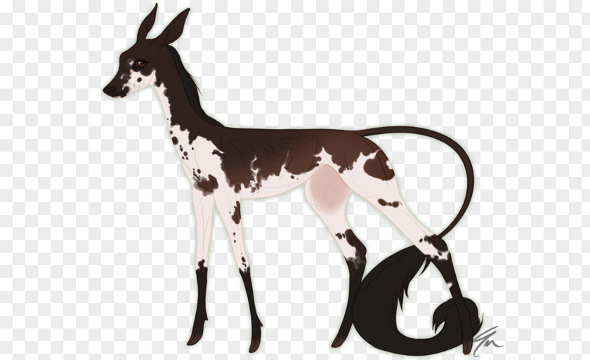 Billy Goat Horse Cattle Antelope Deer Pack Animal PNG