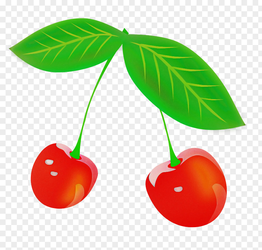 Cherry Pie Fruit Logo PNG