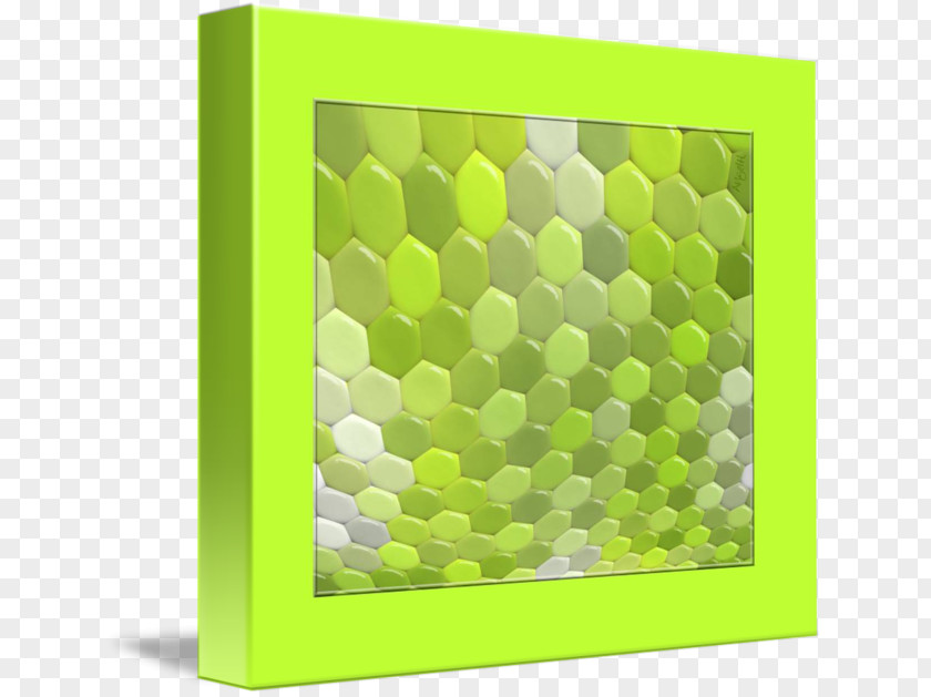 Design Picture Frames Green Pattern PNG