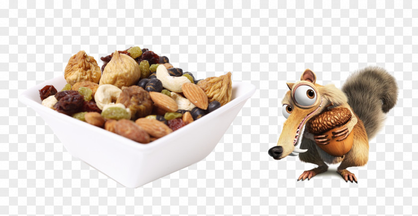 Health Nut Snacks Scrat Ice Age Acorn Snack Animation PNG