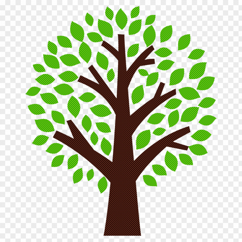 Leaf Green Tree Plant Line PNG