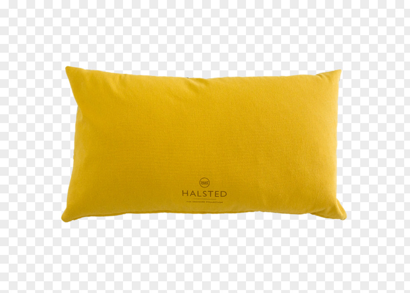 Light Overlay Cushion Throw Pillows Rectangle Material PNG