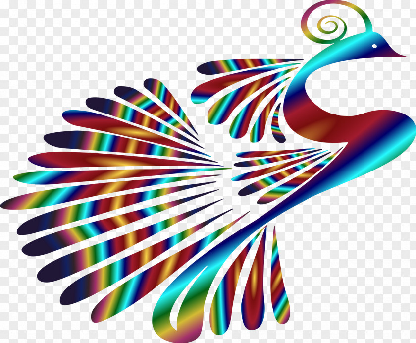 Peacock Peafowl Clip Art PNG