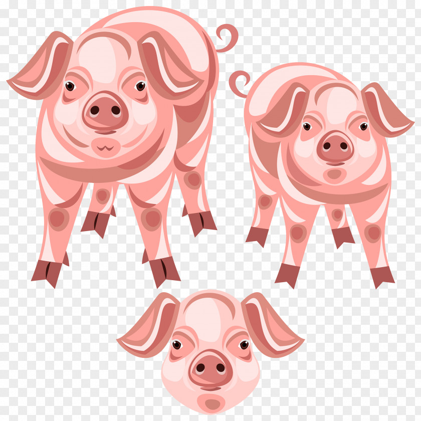 Pig Snout Clip Art PNG