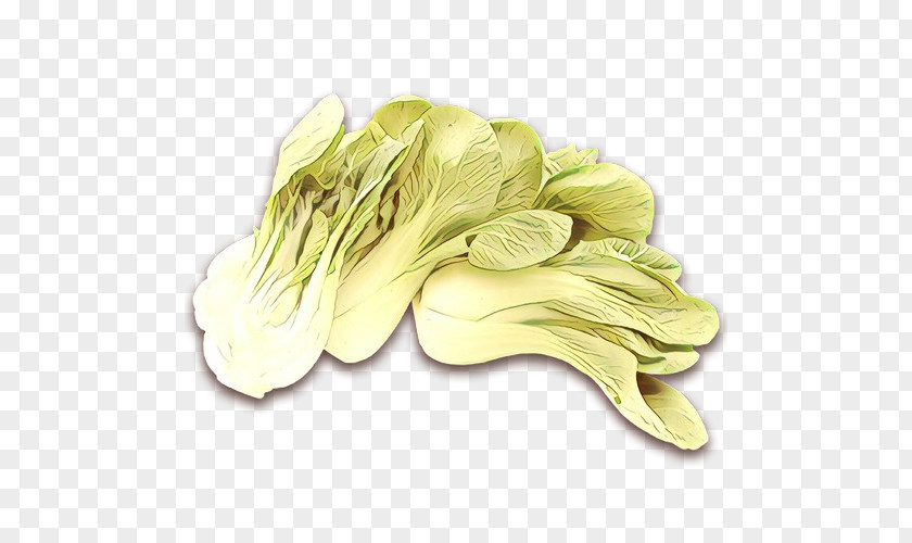 Yellow Plant Petal Flower Food PNG