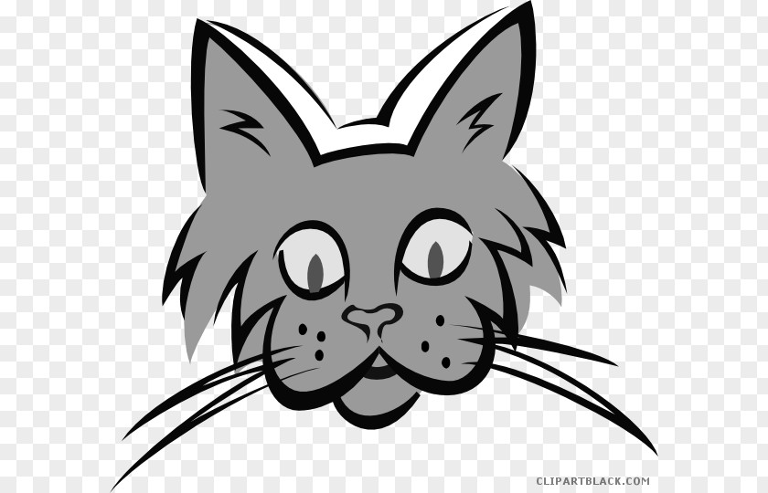 Cat Clip Art Image Whiskers PNG