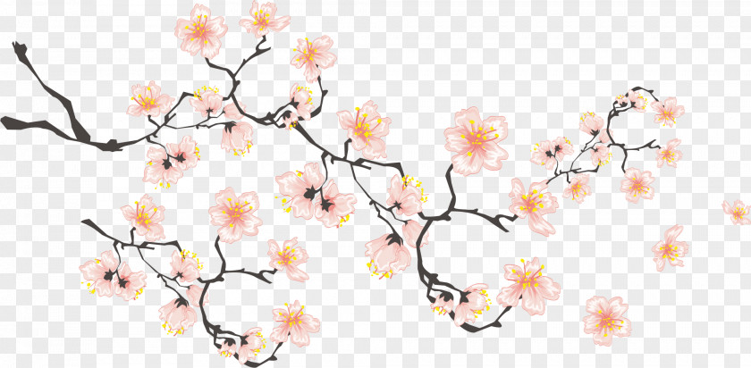 Hand-painted Cherry Blossoms Blossom If(we) Download Icon PNG