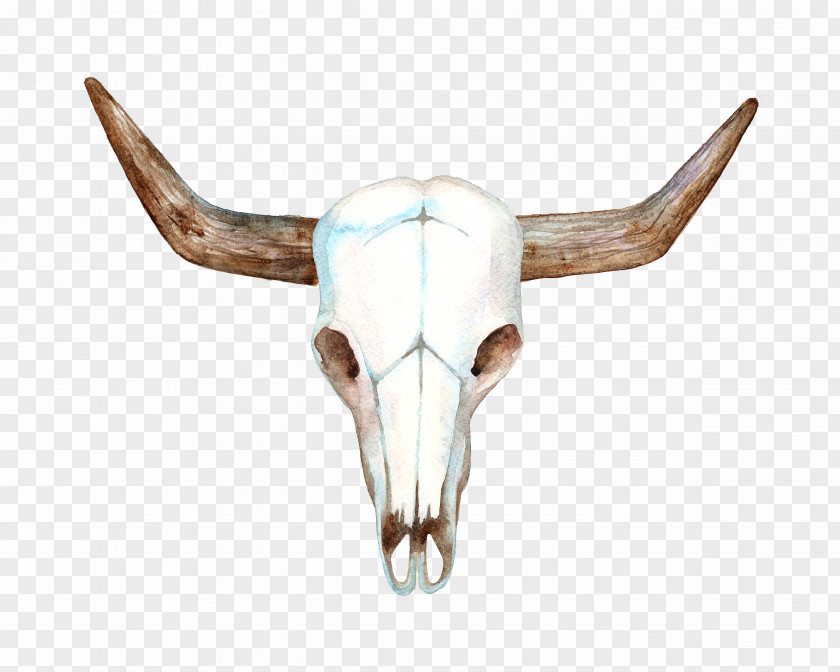 Hand-painted Sheep Skull Texas Longhorn Cows Skull: Red, White, And Blue Bull PNG